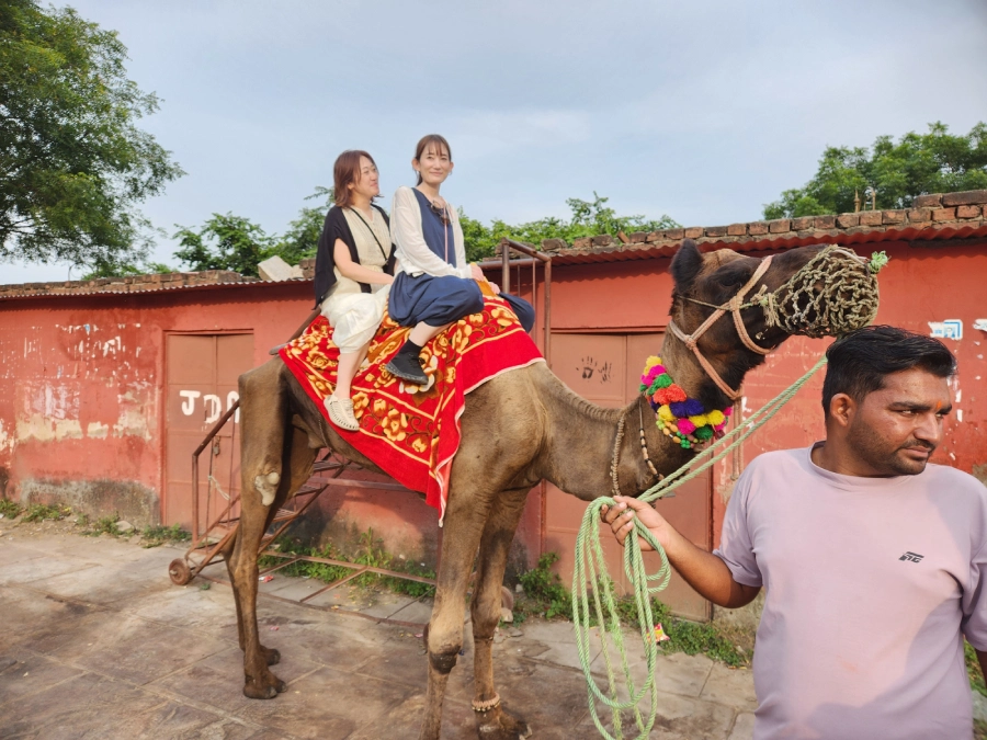 Same Day Jaipur Tour By Car