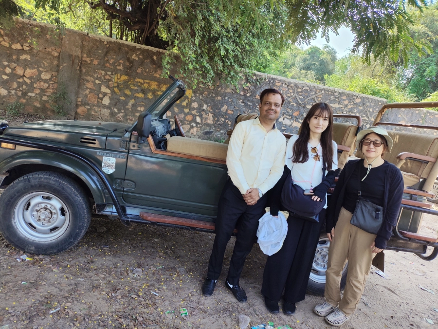 Jaipur and Tiger Safari Private Trip by Car (2 Days)