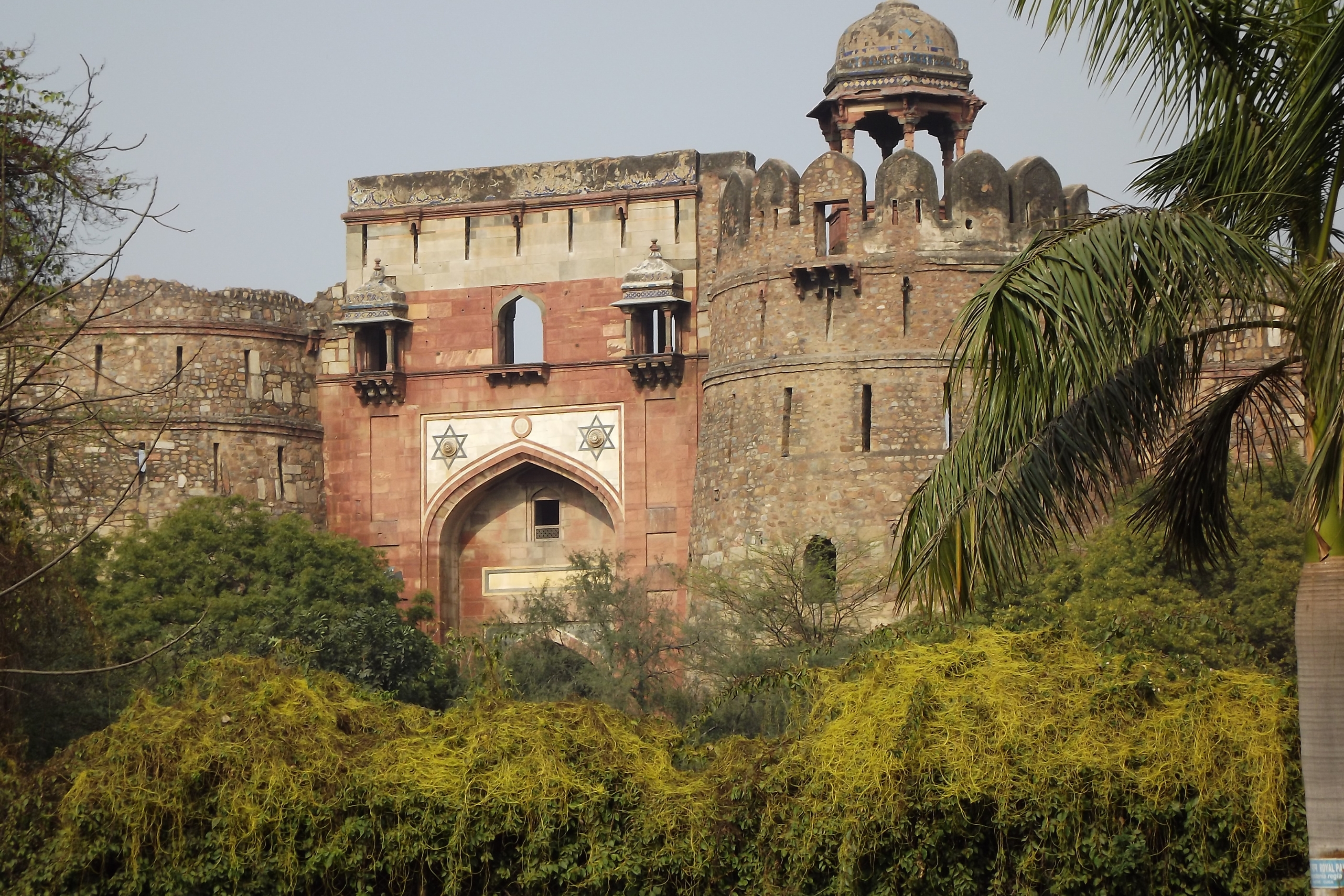 ⁠Agrasen ki Baoli, Purana Kila, Rajghat, Jama Masjid, Walking Food tour